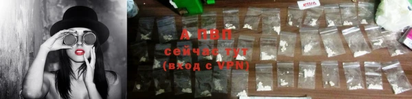 сатива Аркадак