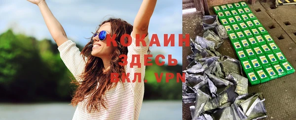 сатива Аркадак