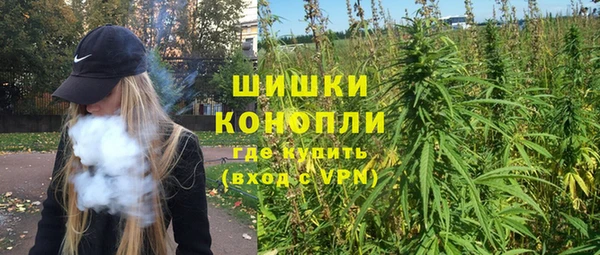 сатива Аркадак