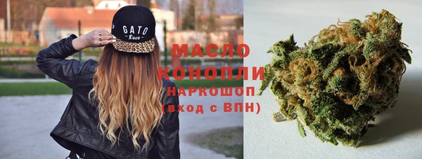 индика Богданович