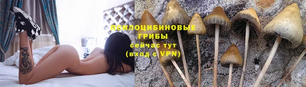 круглые Арсеньев