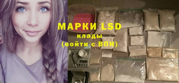 сатива Аркадак