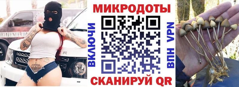 Галлюциногенные грибы прущие грибы Стародуб