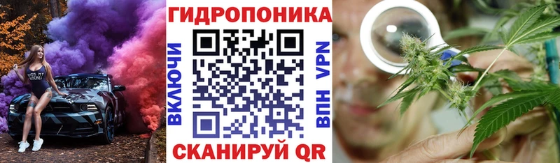 Бошки марихуана Ganja  купить наркоту  Стародуб 